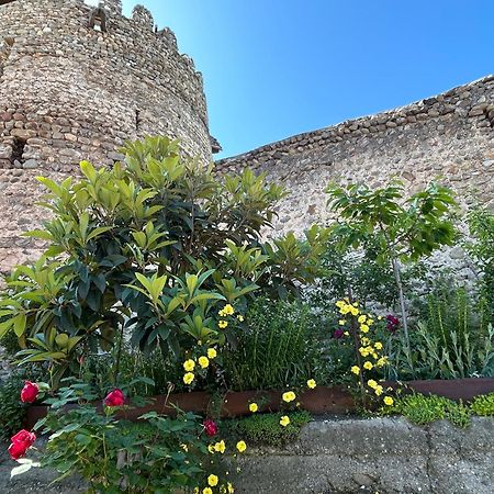 Guest House Maria Sighnaghi Exterior photo
