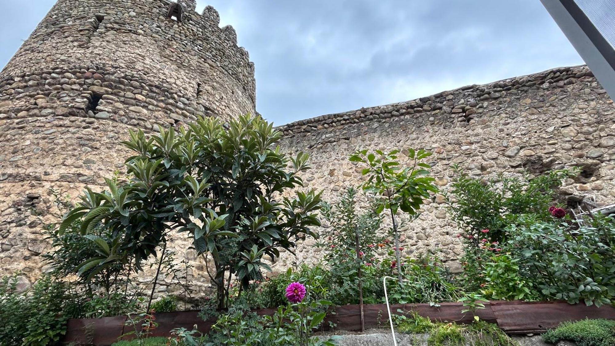 Guest House Maria Sighnaghi Exterior photo