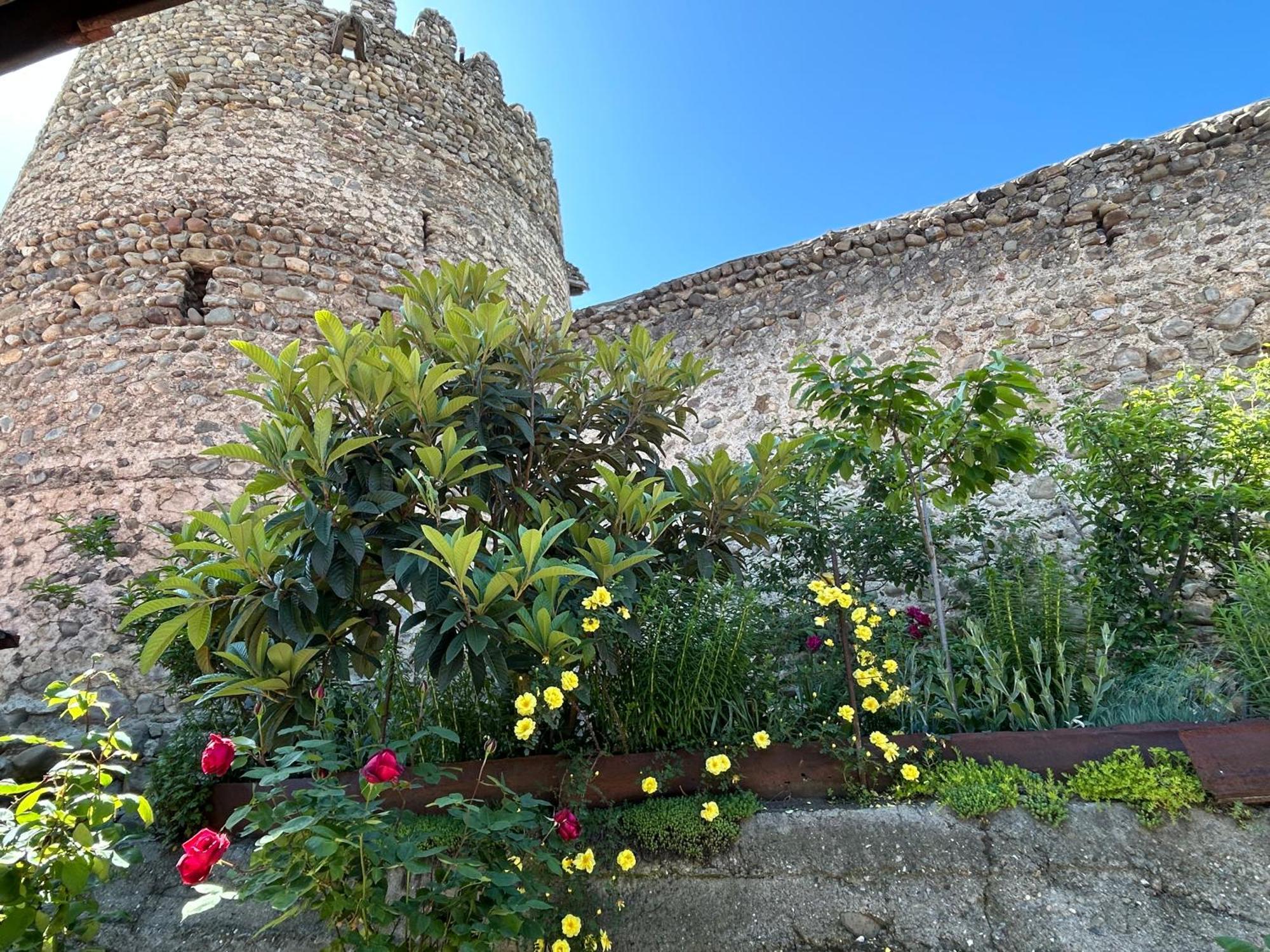 Guest House Maria Sighnaghi Exterior photo